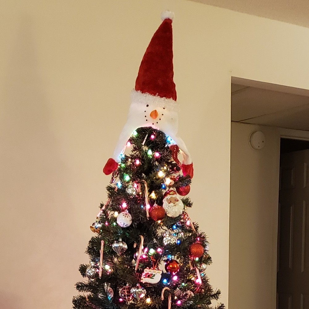 Meet your Posher, Odie